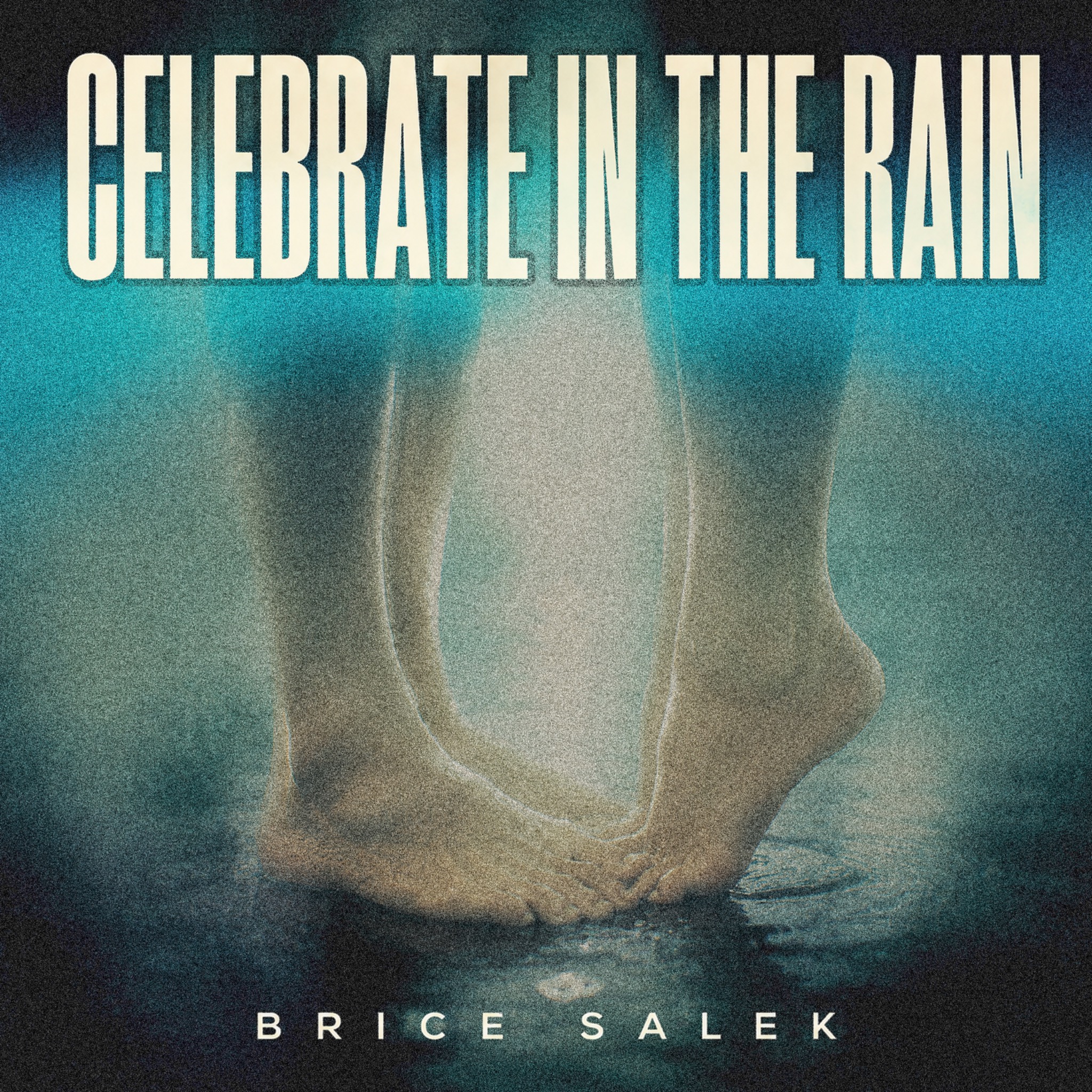 Brice Salek — Celebrate in the Rain album cover